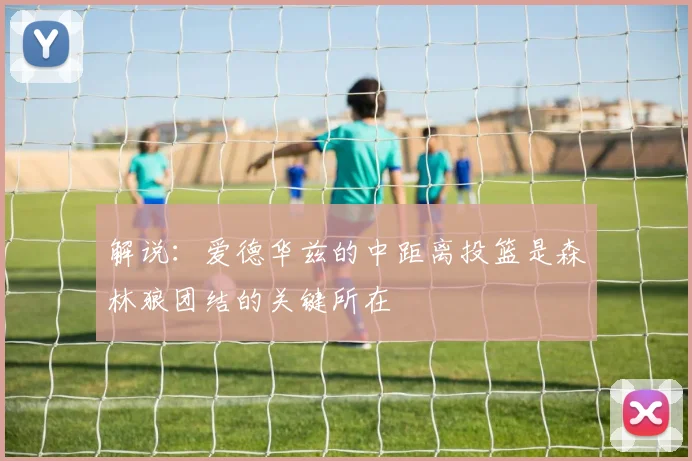 解说：爱德华兹的中距离投篮是森林狼团结的关键所在