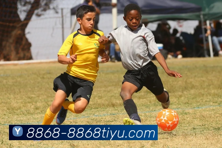 App Interface Preview